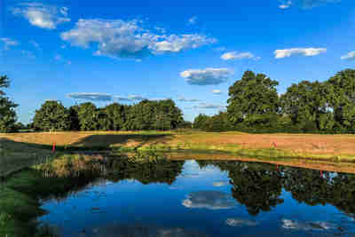 Farleighfriends (14)