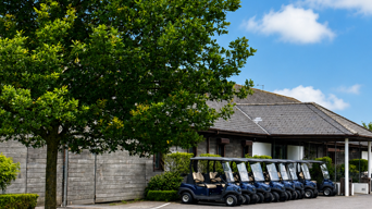 Farleigh Buggies