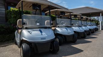 Farleigh Buggies